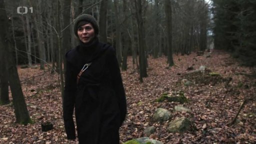 Zimní slunovrat a ohlédnutí za třetím Herbářem