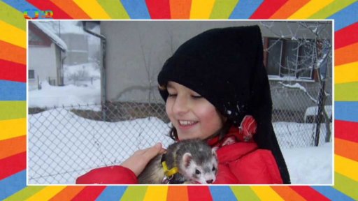 Mezinárodní výstava fretek