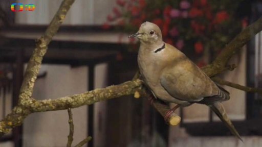 Příroda Olomouckého kraje