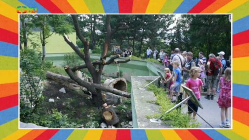 Světový den vody v zoo; Muzeum pražského vodárenství