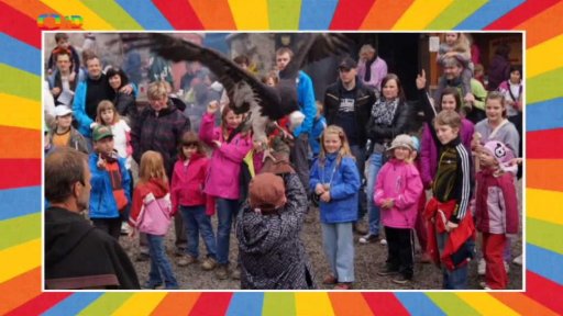 Den sokolnictví a lovectví