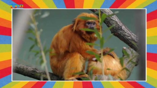 Adie školo, hurá na prázdniny!