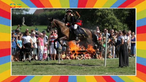 Napoleonské hry 2015