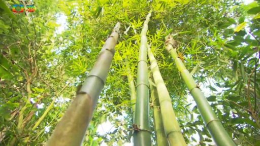 Botanická zahrada Teplice