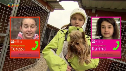 Příroda: Psí výcvik