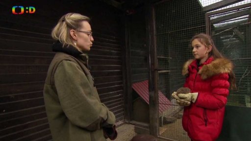 Příroda: Co je to zimní spánek?