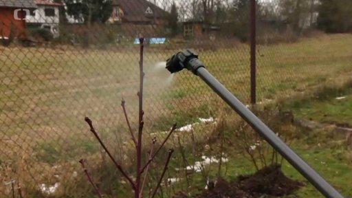 Postřik proti kadeřavosti broskvoní