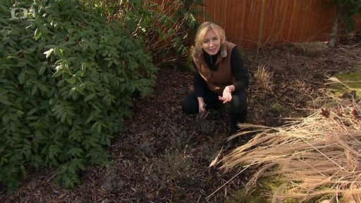 Jarní údržba zahrady