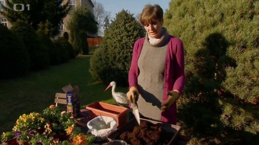 Vysazujeme květiny do truhlíků