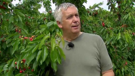 Třešně a višně - 1. část