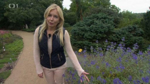 Co všechno právě kvete na zahradě