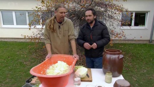 Zelí - nakládání