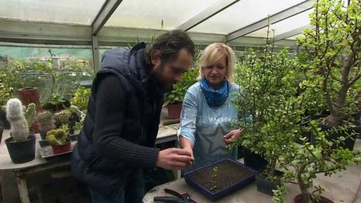 Sukulenty - 2. část