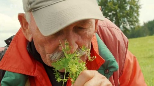 Na podtatranské louce