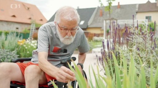 Léčivá zahrada Josefa Kamela