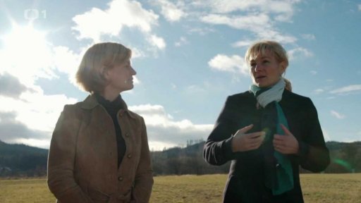 Čtyři základní metabolické typy