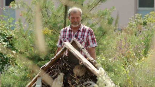 Bylinky pod Včelí horou