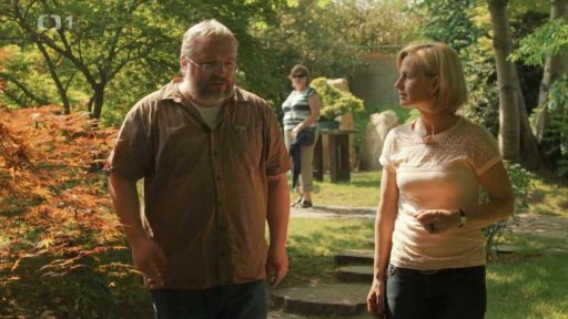 Čínské medicinální houby