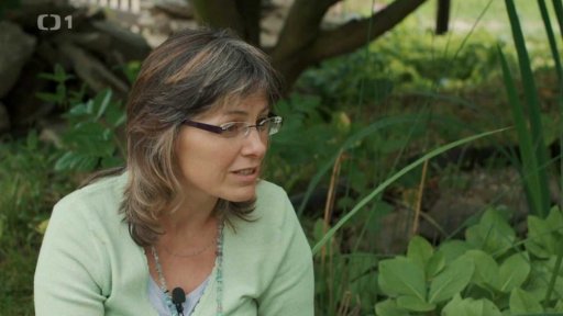 Tajemství a síla vodních rostlin