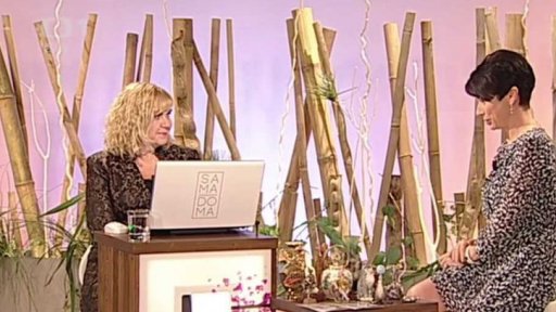 Cestování se starožitnostmi - pozvánka na veletrh - Simona Šustková (chat) - 1. část