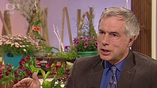 Plodnost páru po čtyřicítce - MUDr. Karel Řežábek - 1. část