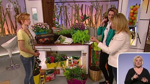 Jarní květiny - Eliška Lisá + anketa