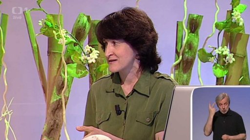 Empatická výchova - Mgr. Kateřina Neubauerová (chat) - 2. část