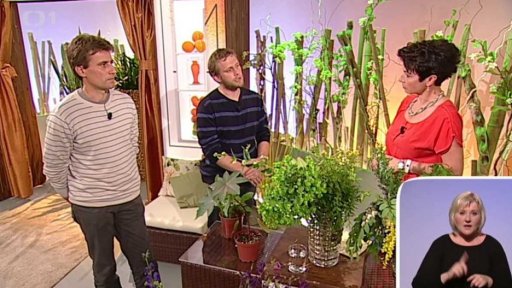 Seriál – jedovatá zahrada