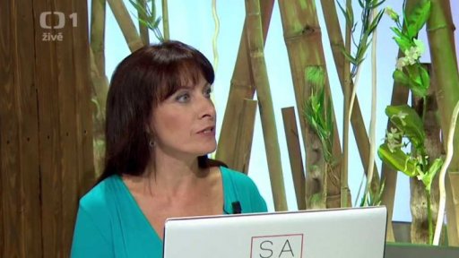 Rodinný rozpočet - Dagmar Prajzlerová (chat) - 1. část