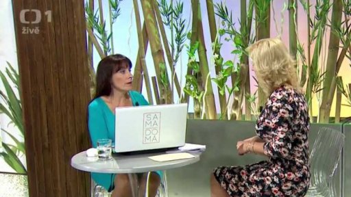 Rodinný rozpočet - Dagmar Prajzlerová (chat) - 2. část