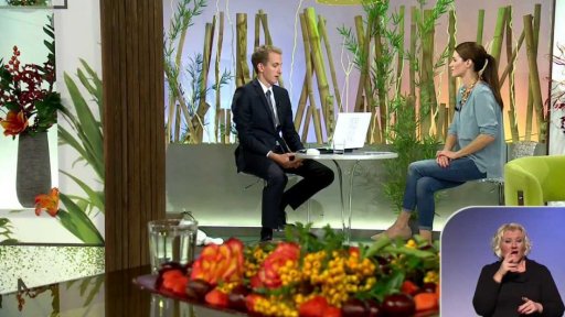 Reklamace obuvi - Jan Zapletal (chat) - 2. část + anketa