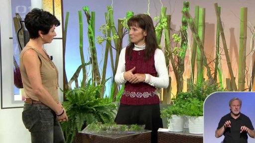 Fytoterapie - koření jako prevence - Ing. Adriana Kašparová