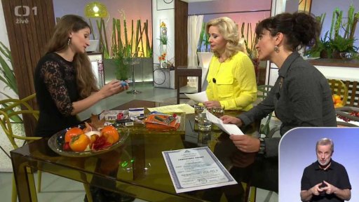 Test - bezpečnostní zámky - Iva Špačková (chat) - 2. část + anketa