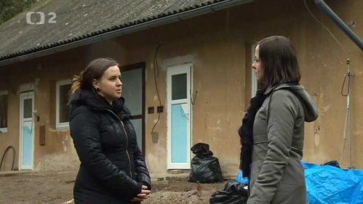 Dogpoint staví útulek