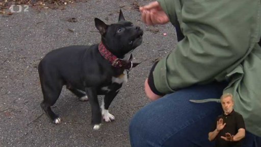 Trénink jako rozhovor