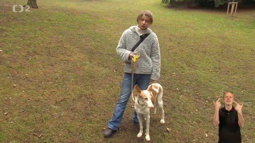 Psi se žlutou stužkou