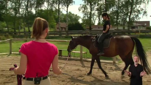 Než si osedlám koně