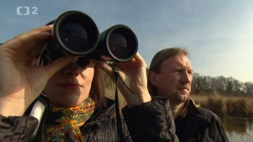 Přírodou velkoměsta aneb Přírodovědné vycházky s Národním muzeem