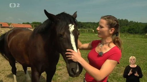 Než si osedlám koně