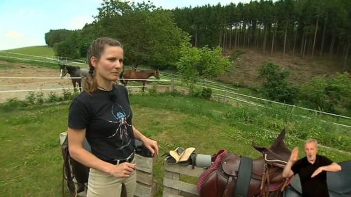 Než si osedlám koně