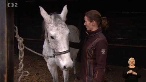 Než si osedlám koně