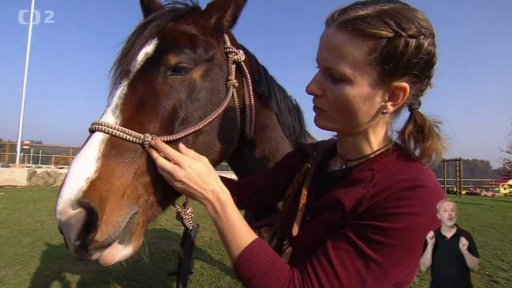 Než si osedlám koně