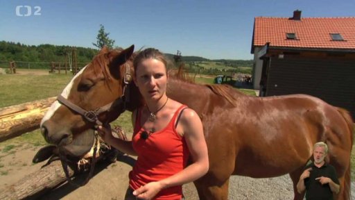 Než si osedlám koně