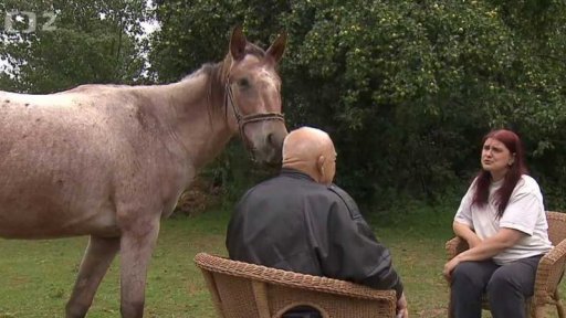 Útulek Bianka v ohrožení