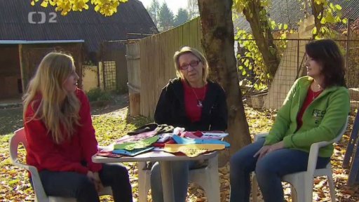 Pes nejvěrnější přítel