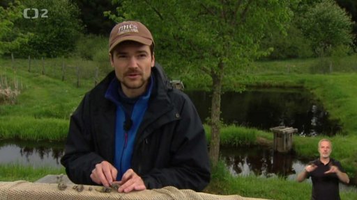 Slávička mnohotvárná (Dreissena polymorpha)