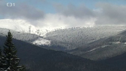 Karlov pod Pradědem