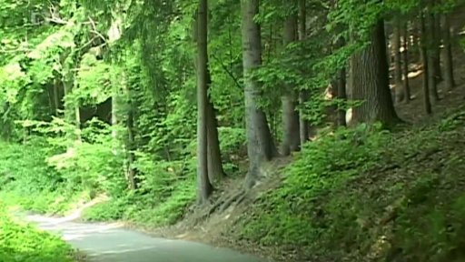 Na kole podél Tiché Orlice