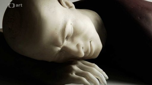 Inside sculpting Martina Janeckého