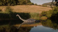 Lochneska